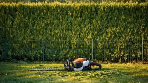 Loiret : il plante une haie de thuyas à 1 mètre de sa clôture, 6 ans après son nouveau voisin exige qu'elle redescende à 2 mètres